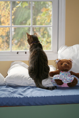 Tails of Putnam Pet Sitting Service
